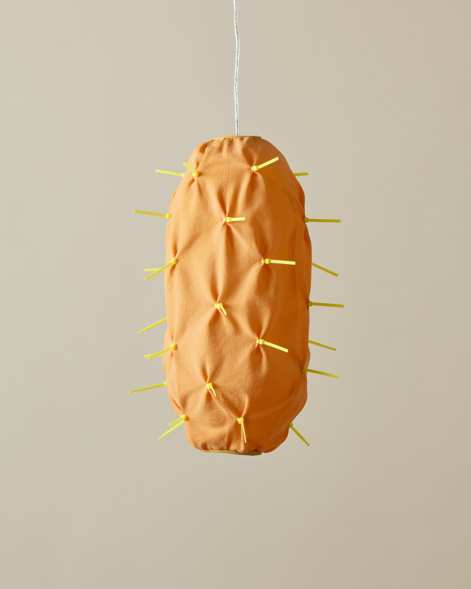 Xerófita nº14 | Pendant lamp M