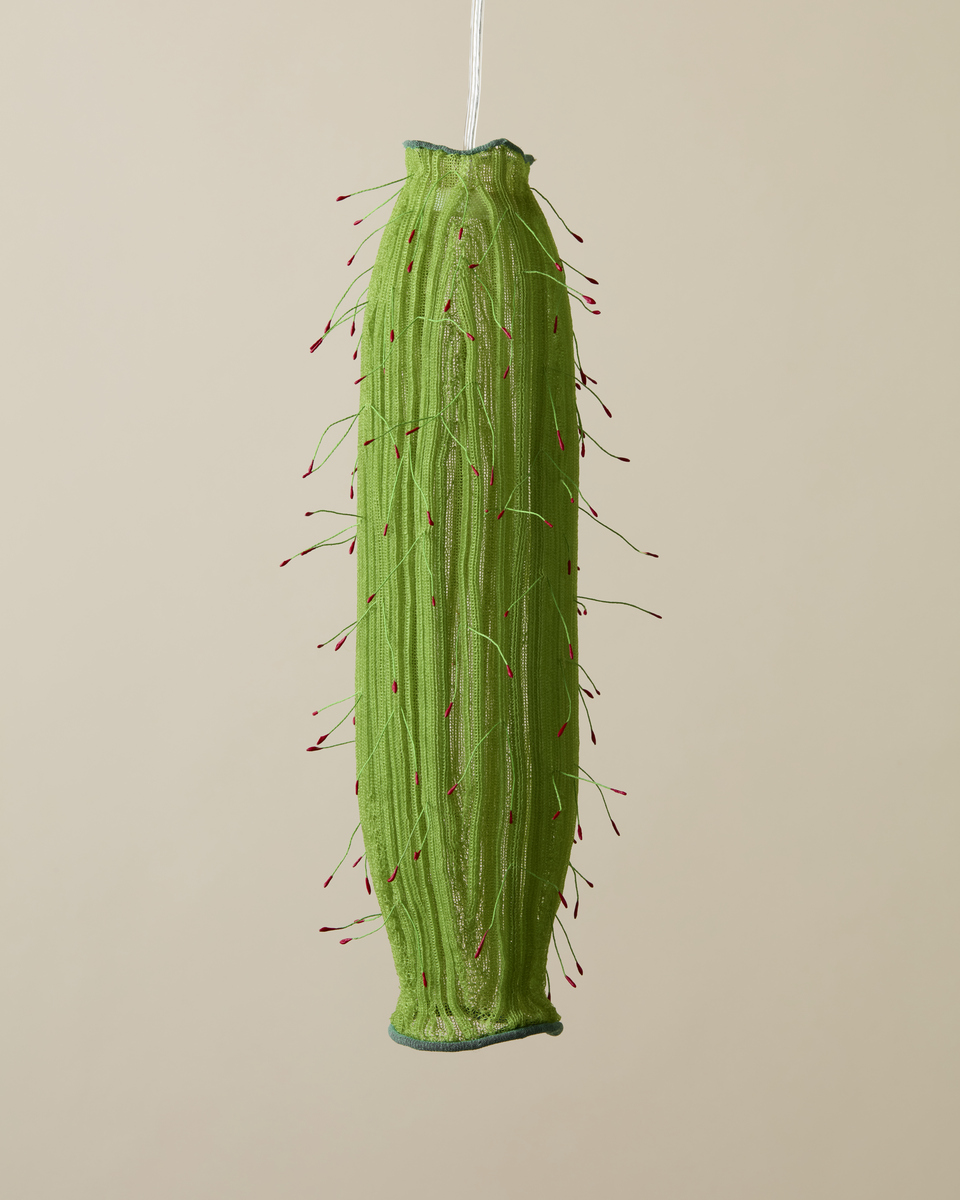 Xerófita nº20 | Pendant lamp M