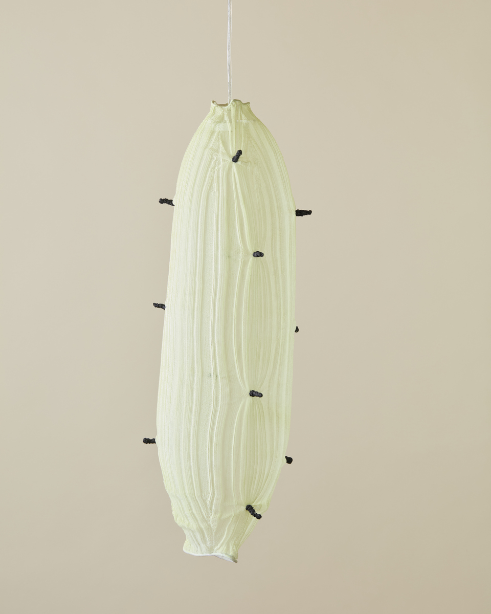 Xerófita nº29 | Pendant lamp L