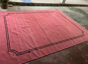 Pink Rug