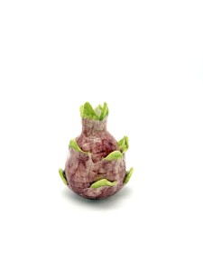 Pitaya