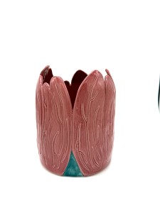 Tulipan