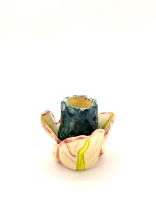 Tulipan